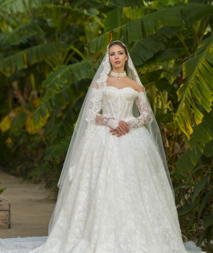 Virella A Kesim Uzun Kollu Fransız Dantelli Kayık Yaka Zarif Gelinlik